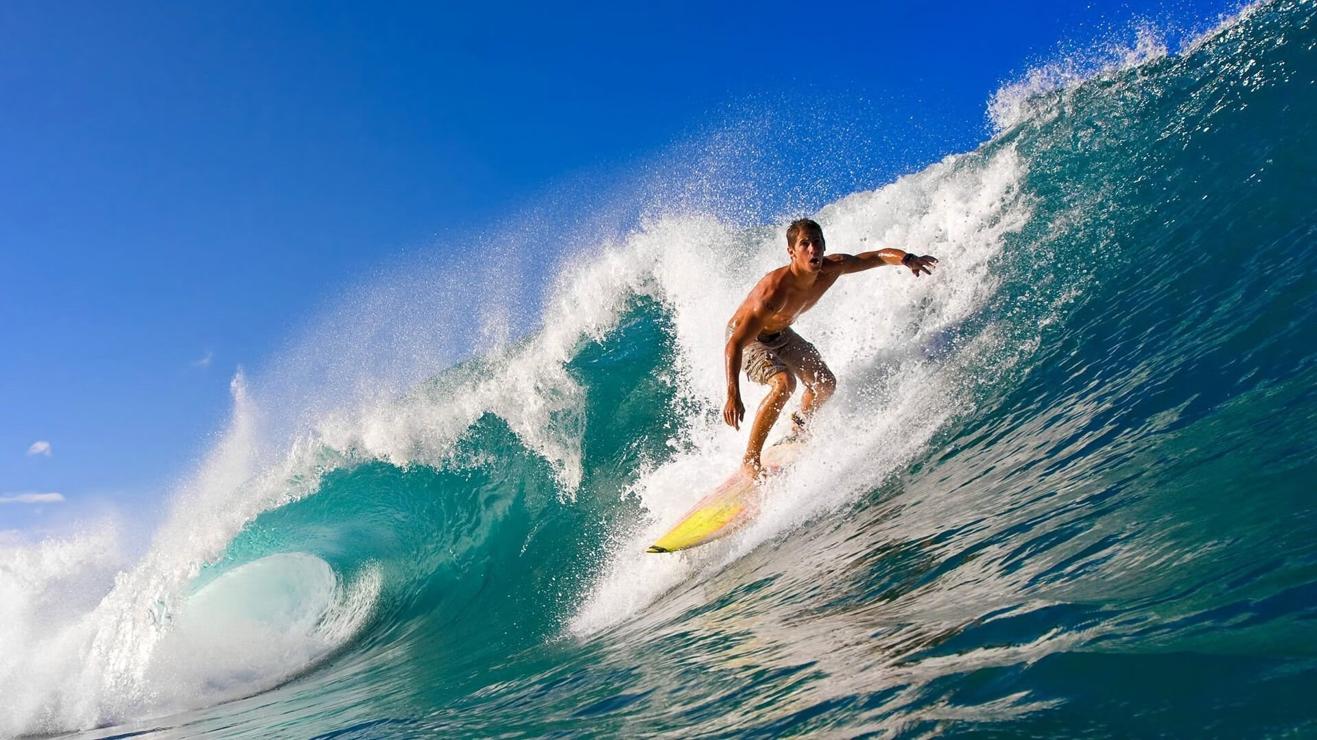 “武汉马拉松：快速跑者的速度风暴”